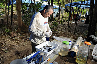 Raimundo trabalha no laboratório da base 1 depois de caminhar com Crisalda atrás de cobras, sapos e lagartos pela mata. (Foto: WWF-Brasil/Adriano Gambarini)