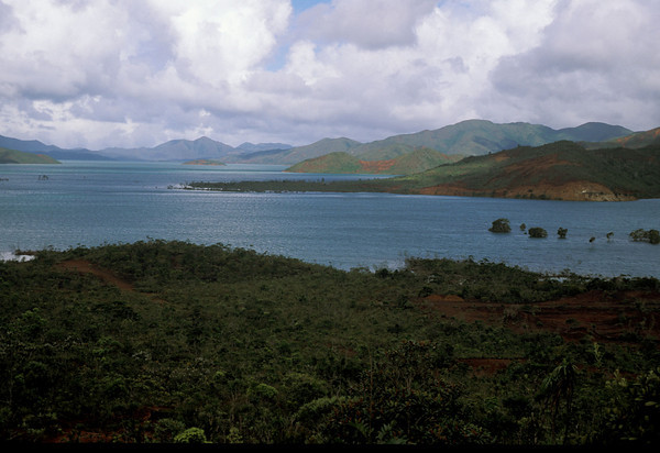Um arquipélago montanhoso uma vez dominado pelas florestas temperadas, a Nova Zelândia é uma terra de paisagens variadas e abriga extraordinários índices de espécies endêmicas, incluindo seu representante mais famoso, o kiwi. Nenhum de seus mamíferos, anfíbios ou répteis é encontrado em outro lugar do mundo. Curiosamente, as duas espécies registradas de mamíferos terrestres endêmicos são morcegos. Hoje, espécies invasoras representam uma séria ameaça à flora e à fauna das ilhas da Nova Zelândia. Com a chegada dos europeus no início do século 19, foram levadas ao arquipélago 34 espécies exóticas de mamíferos (incluindo gambás, coelhos, gatos, cabras e furões) e centenas de espécies de ervas daninhas invasoras. Somando-se o impacto da caça e da destruição de hábitats, os últimos duzentos anos testemunharam a extinção de inúmeras espécies de aves, invertebrados, plantas e de um morcego e um peixe endêmicos. Diversas outras espécies sobrevivem apenas em pequenas populações nas ilhas. A destruição de hábitats, de florestas e a drenagem de pântanos são também problemas-chave. Há apenas 5% de remanescentes do hábitat original do arquipélago. (foto: © Conservation International/ Bruce Beehler)