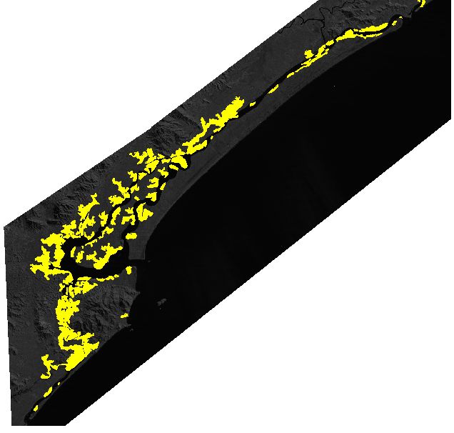 Mapa dos manguezais do litoral sul de SP Os manguezais do litoral sul do estado de SP compreendem as regiões de Cananéia (área amarelada na parte de baixo do mapa) e Iguape (área acima) e sua área total estimada é de 14.591 hectares.