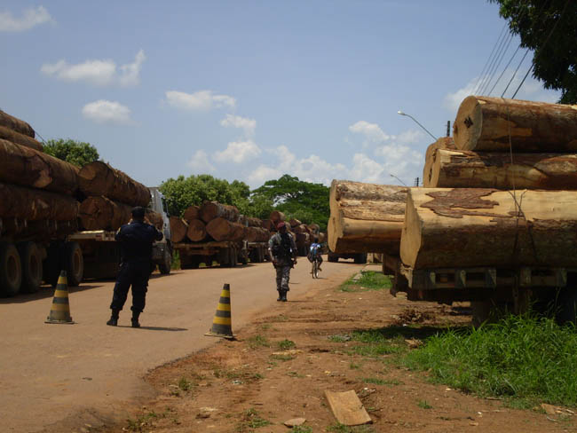 Operação de retirada de madeireiros contou com a ajuda do exército (foto: ICMBio)