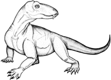 Pampaphoneus: Apesar da aparência, predador não era um dinossauro. Foto: Juan Cisneros