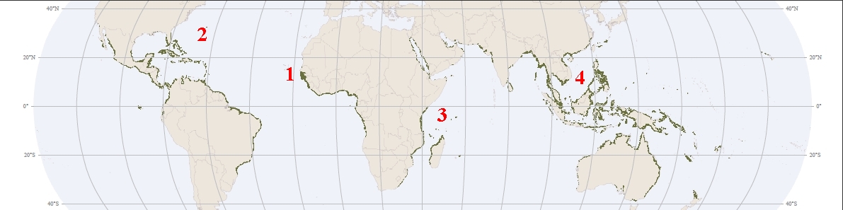 Mapa global de mangues produzido pelo Atlas (fonte:Spalding et al) Clique para ampliar e veja detalhes nos números abaixo
