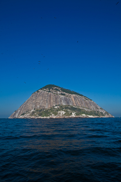 Próximo a ilha Cagarras, já é possível avistar as fragatas sobrevoando o monumento natural.
