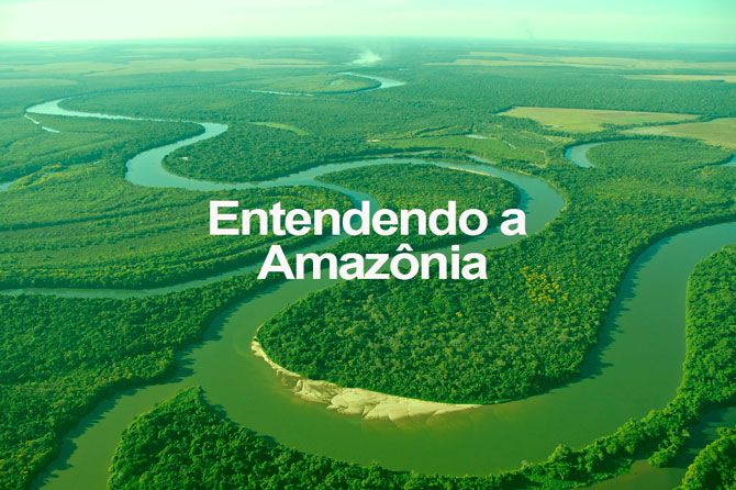Resultado de imagem para amazonia