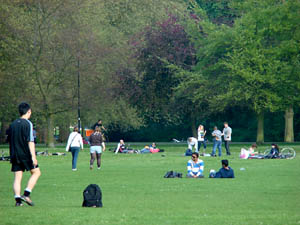 Parques espalhados por Cambridge são espaços seguros, compartilhados e também silenciosos. (Foto: Andreia Fanzeres)