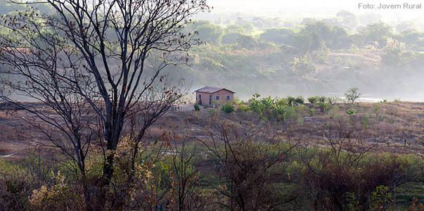 Casa isolada em Itaopim, na região de Jequitinhonha. (foto: Jovem Rural)