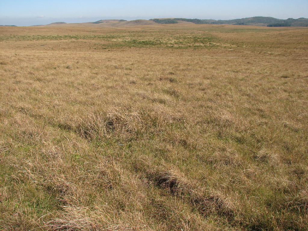 Panorama dos Campos de Cima da Serra (RS). foto: Aldem Bourscheit