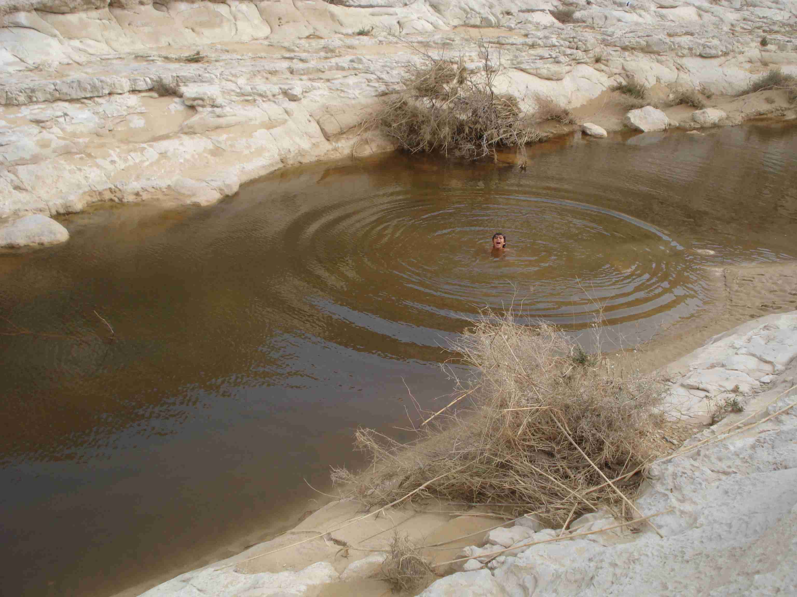 Tomando banho no Ein Avidat (foto: autor)