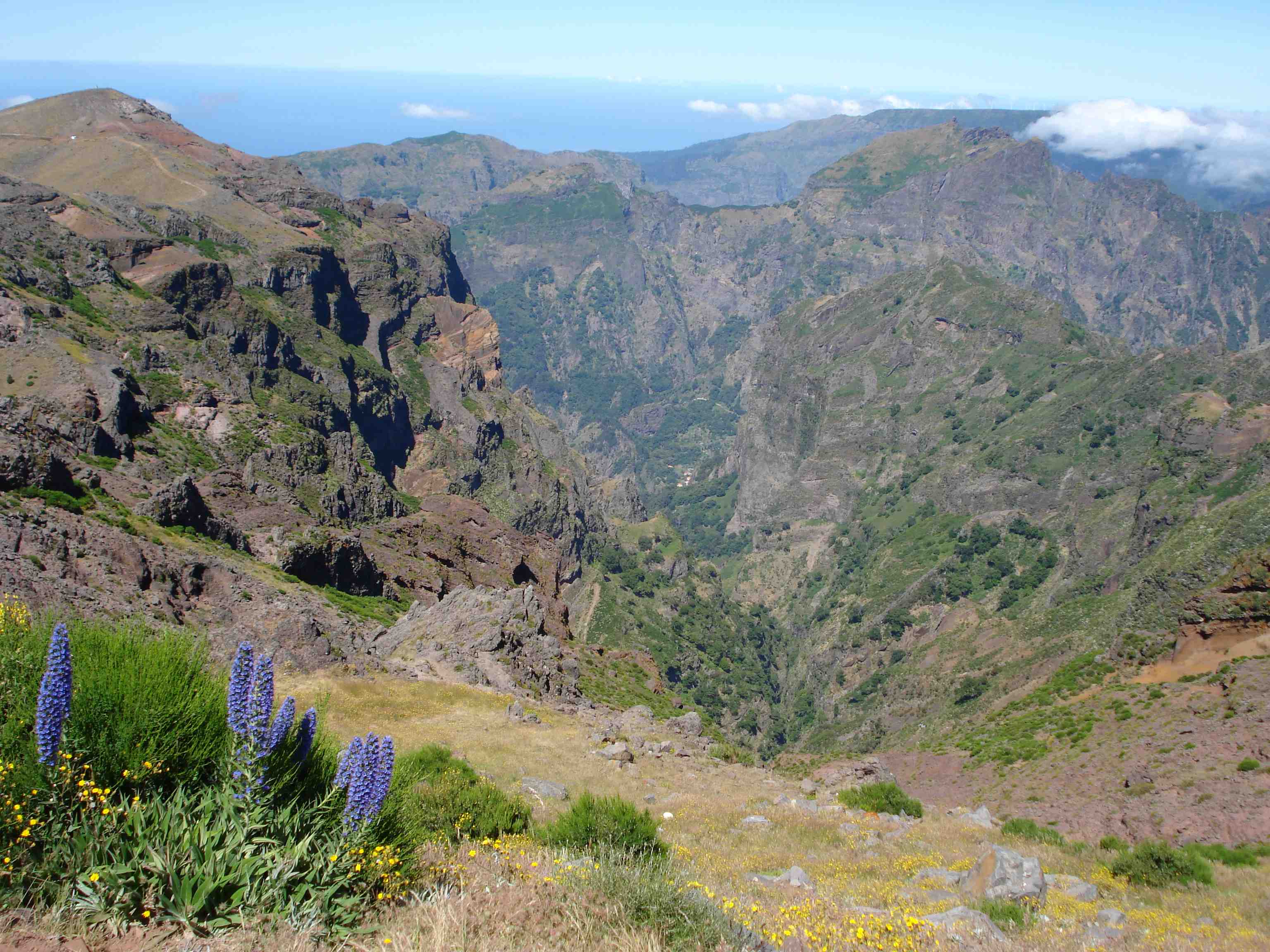 Vista do Pico do Areeiro (foto: autor)