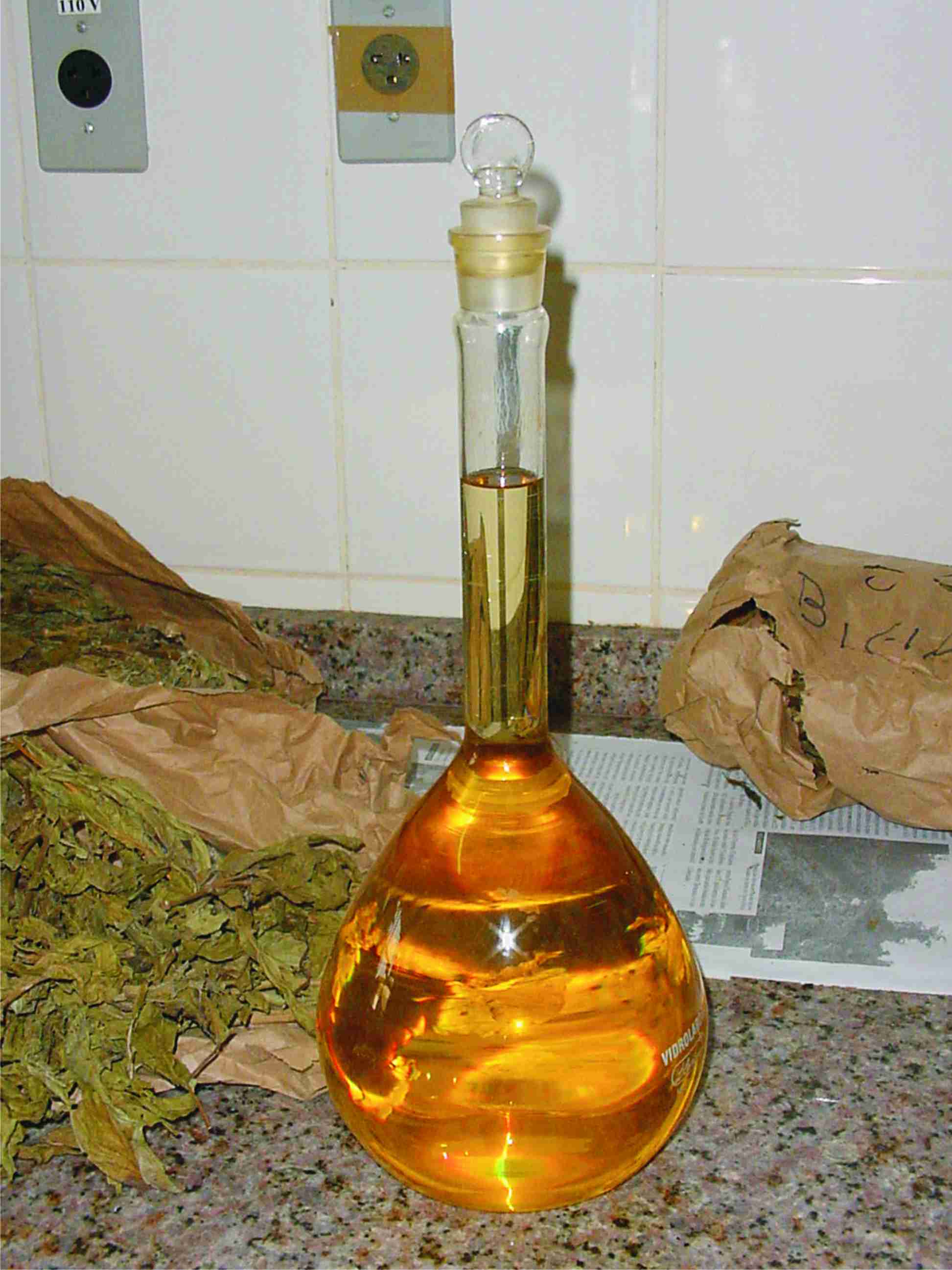 O óleo de pimenta-de-macaco (foto: Murilo Fazolin)