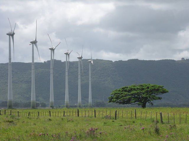 Crédito: Rafael Barfknecht