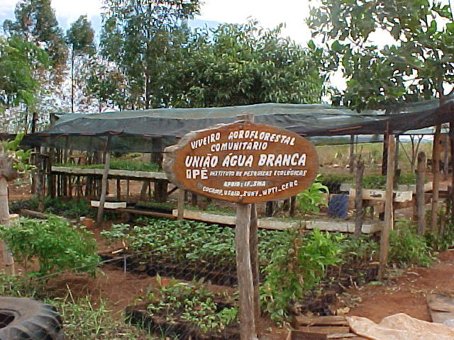 Viveiro comunitário em assentamento rural do Pontal do Paranapanema.