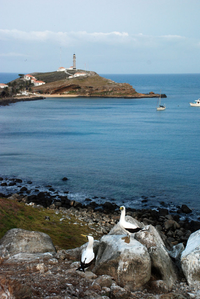 Ilha de Santa Bárbara, em Abrolhos: a região com maior biodiversidade do Hemisfério Sul. Foto: João Ramos - Bahiatursa