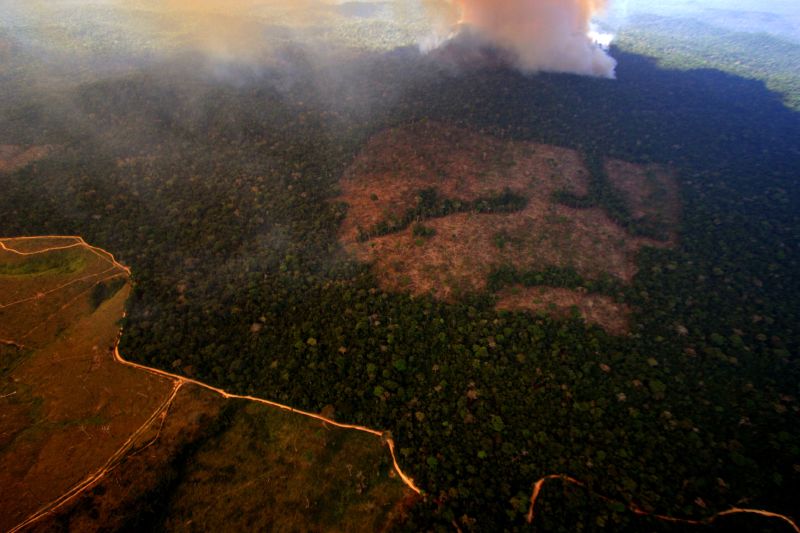 Desmatamento no município de Novo Progresso, Pará. Foto: Leonardo F. Freitas