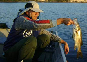 Clique aqui para ver o slideshow