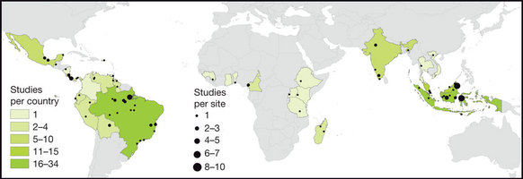 A cor do país representa o número de estudos analisados pelos  pesquisadores. Pesquisadores chamam a atenção para a falta de estudos na  África.