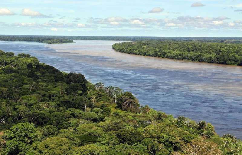 Parte da amazônia brasileira em área próxima à Manaus. Foto: Wikipédia.