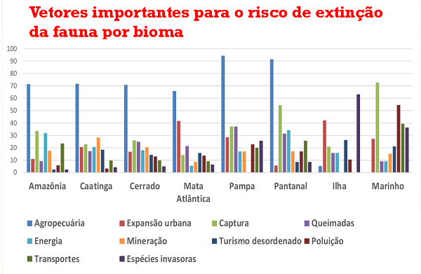 Imagem: Reprodução/MMA