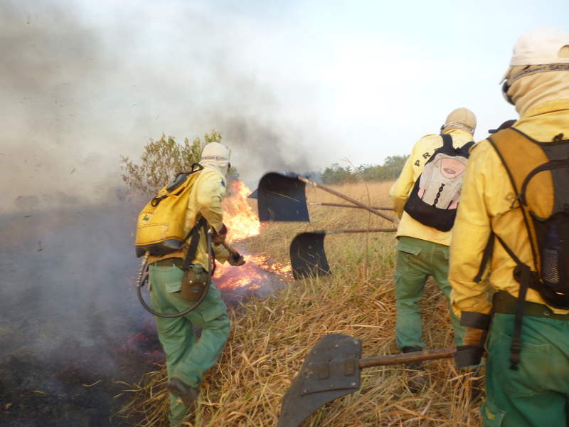 Brigadistas trabalham no controle de queimadas na Terra Indígena Maraiwãtsede, em novembro de 2013. Foto: Rodrigo Falleiro - Prevfogo/Ibama