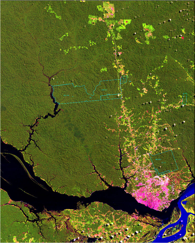 As APAs de Manaus (linhas azuis). No canto inferior direito está a Reserva Ducke, envolta pela cidade.