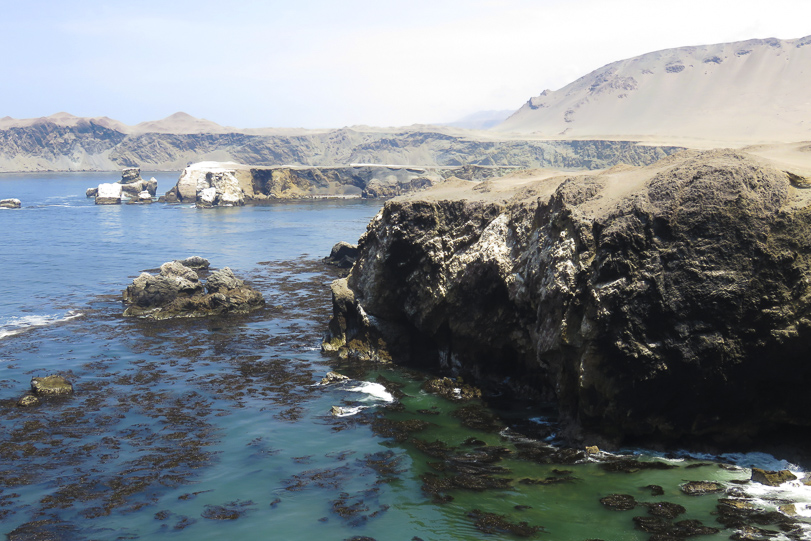 O mar visto de San Fernando. Foto: Marc Dourojeanni