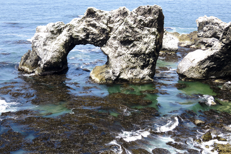 A deslumbrante paisagem de San Fernando. Foto: Marc Dourojeanni