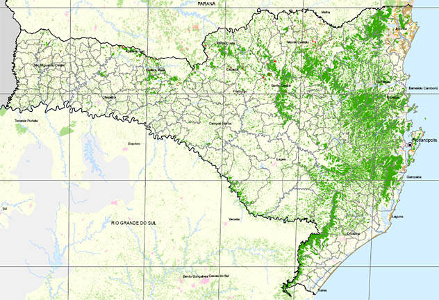 Detalhe do mapa do Inpe/SOS Mata Atlântica com remanescentes (verde) do bioma em Santa Catarina. Clique e baixe o mapa completo (em .pdf)