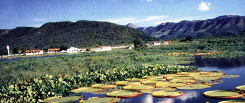 Fazenda Acurizal, na borda oeste do Pantanal, divisa com a Bolívia. Foto: Mario Friedlander, acervo da Fundação Ecotrópica