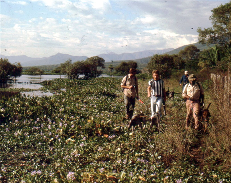 Expedição com cachorros para captura de onça-pintada. Foto: Acervo Peter Crawshaw
