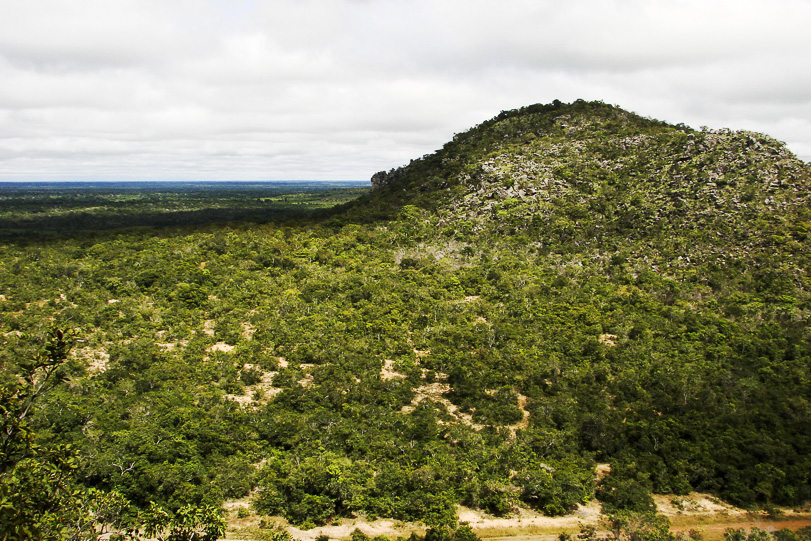 O Parque Estadual Monte Alegre é uma das 11 UCs que fazem parte da Calha Norte. Foto: © Imaflora/Rafael Salazar
