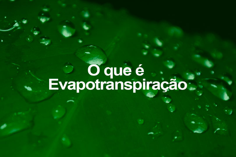Quais Os Processos Que Compõem A Evapotranspiração