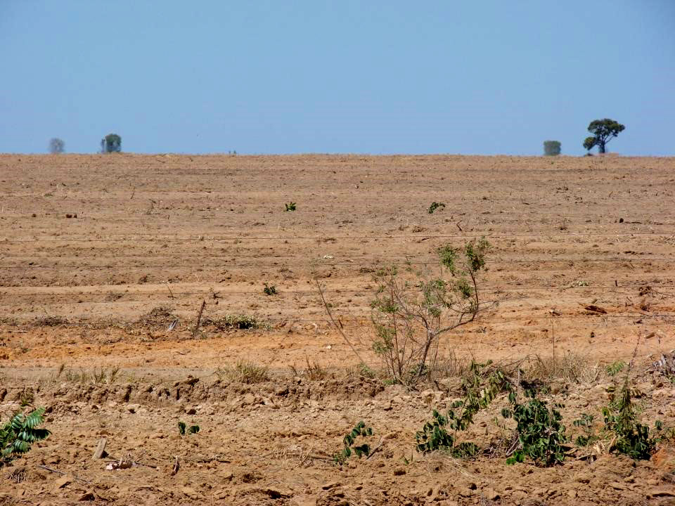 Paisagem de Cerrado devastada no oeste da Bahia. Como tal paisagem pode ser mais admirada que como era antes da degradação?