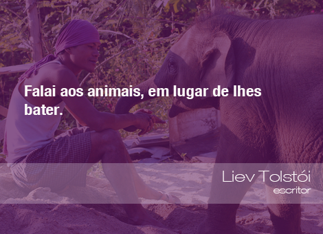 Frases do Meio Ambiente - Liev Tolstói, escritor (05/09/14) - ((o))eco