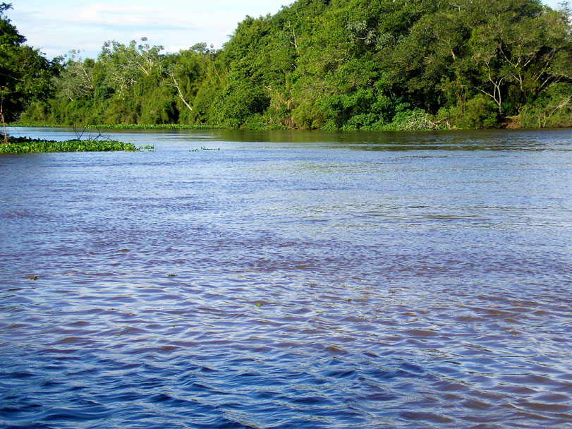 Foz do Rio Amambai, MS. Sua bacia pode receber 3 hidroelétricas com licenciamento falho. Foto: